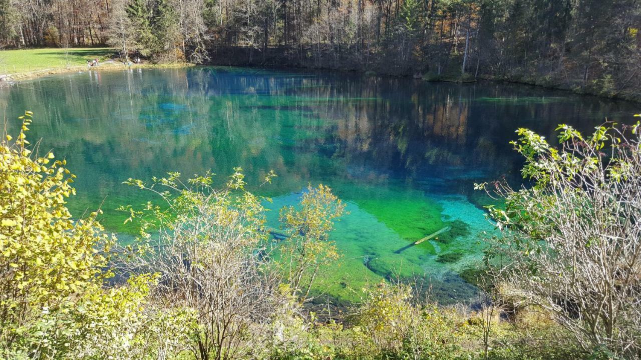 Ferienwohnung Am Eichwald Immenstadt im Allgäu Exterior foto